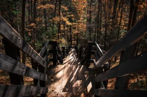Hiking Trail on the North Shore
